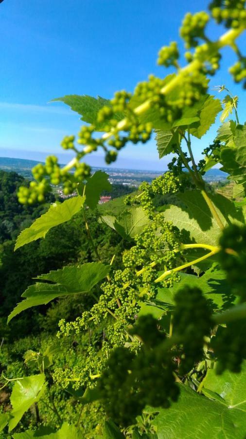 Seven Suites Pieve Pieve di Soligo Eksteriør bilde